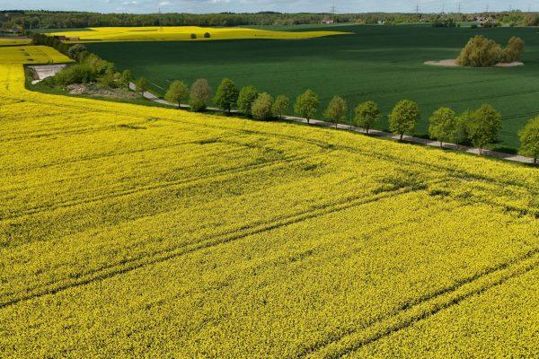 Γκρίνιες και μουρμούρα «γαλάζιων» βουλευτών για την οριοθέτηση των μικρών οικισμών – «Μας λένε ότι κάναμε το οικόπεδο-χωράφι»