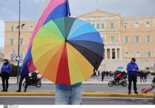 ΣτΕ: Συνταγματικός ο γάμος ομόφυλων ζευγαριών