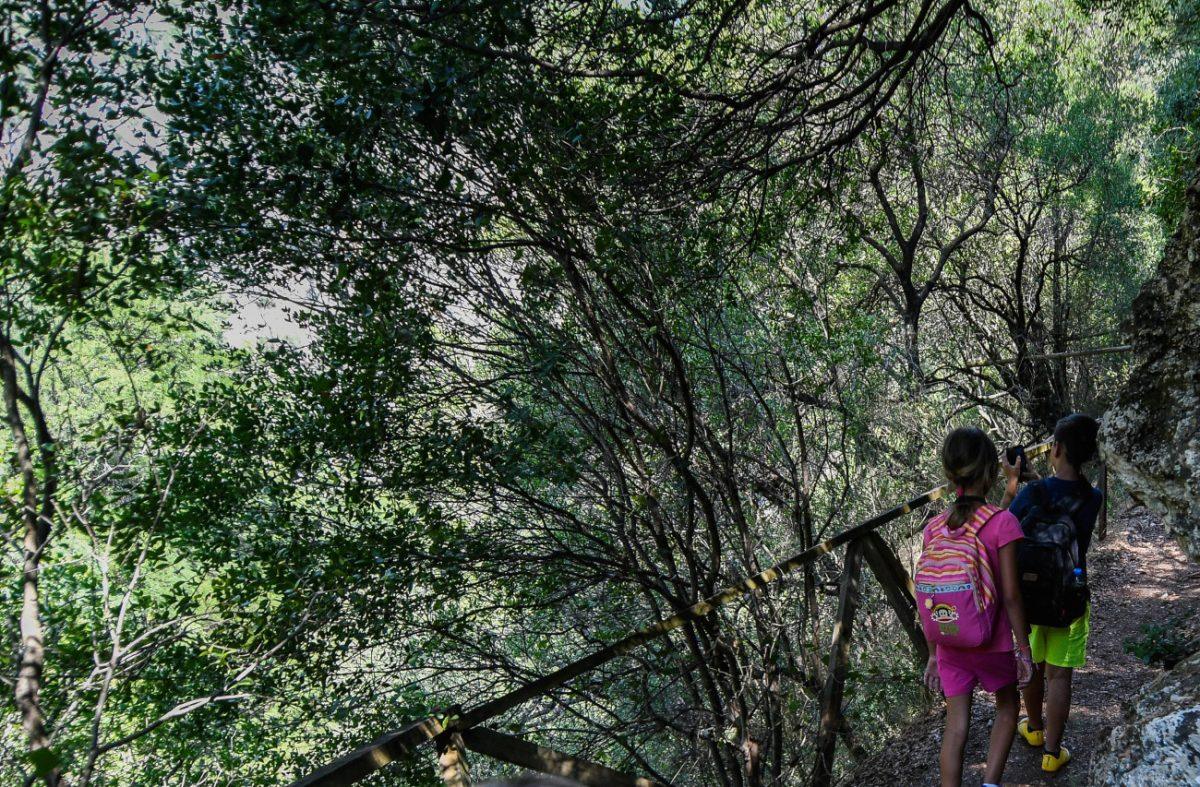 Συναγερμός στη Νέδα: Πατέρας και γιος έπεσαν σε χαράδρα – Ελικόπτερο για αεροδιακομιδή του ανηλίκου