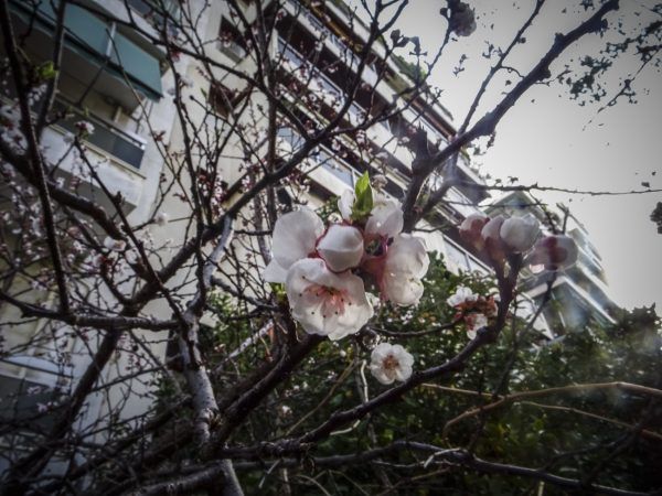 Καιρός: Άνοδος της θερμοκρασίας και βροχές στα ηπειρωτικά – Πού και πότε θα εκδηλωθούν καταιγίδες