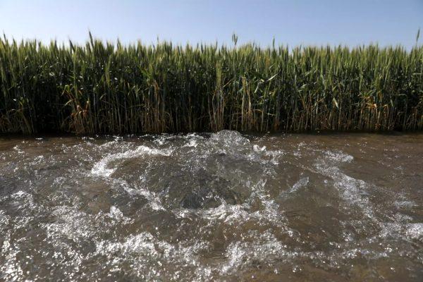 Το έδαφος κάτω από τις μεγαλύτερες πόλεις των ΗΠΑ βυθίζεται – Δείτε πού και γιατί