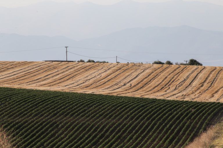 ΣΥΡΙΖΑ: Η κυβέρνηση Μητσοτάκη είναι ο φυσικός και ηθικός αυτουργός για την κατάρρευση του ΟΠΕΚΕΠΕ