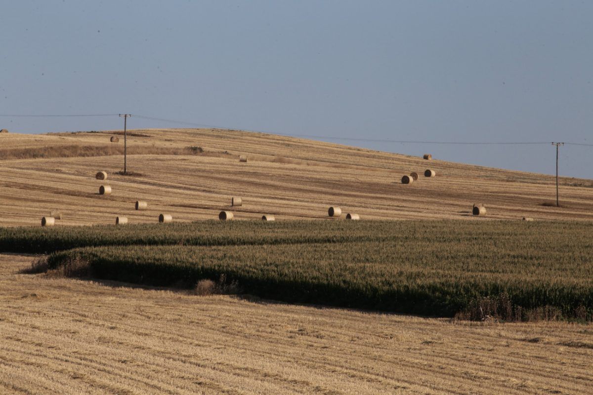 Πώς η ΑΑΔΕ θα αντικαταστήσει τον ΟΠΕΚΕΠΕ – Το πλάνο για την επόμενη μέρα
