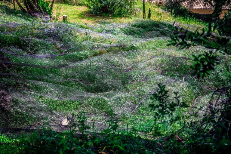 Λευκάδα: Νεκρός ηλικιωμένος σε αγροτικό μονοπάτι – Τον βρήκε η πυροσβεστική