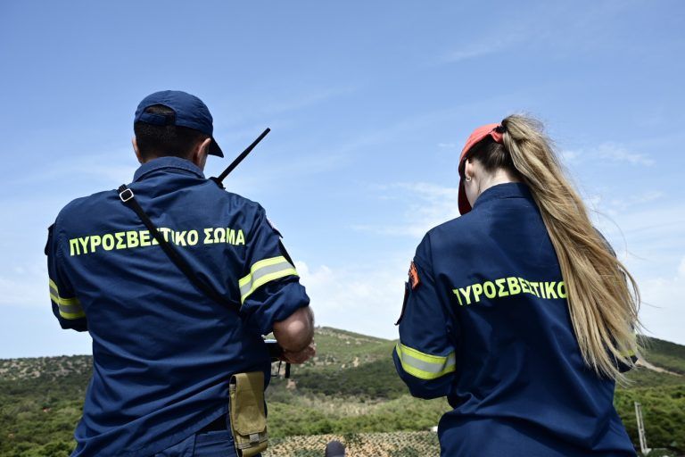 Φωτιά σε χορτολιβαδική έκταση στην Ανάφη