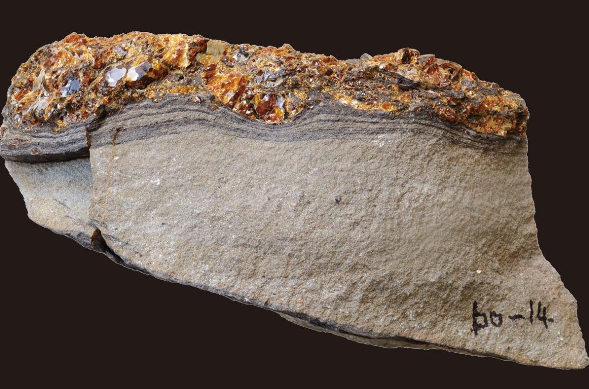 Ίχνη από τσουνάμι της εποχής των δεινοσαύρων διατηρήθηκαν σε κεχριμπάρι