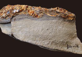 Ίχνη από τσουνάμι της εποχής των δεινοσαύρων διατηρήθηκαν σε κεχριμπάρι