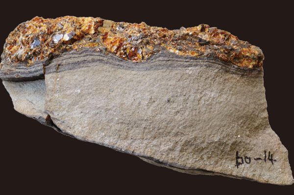 Ίχνη από τσουνάμι της εποχής των δεινοσαύρων διατηρήθηκαν σε κεχριμπάρι