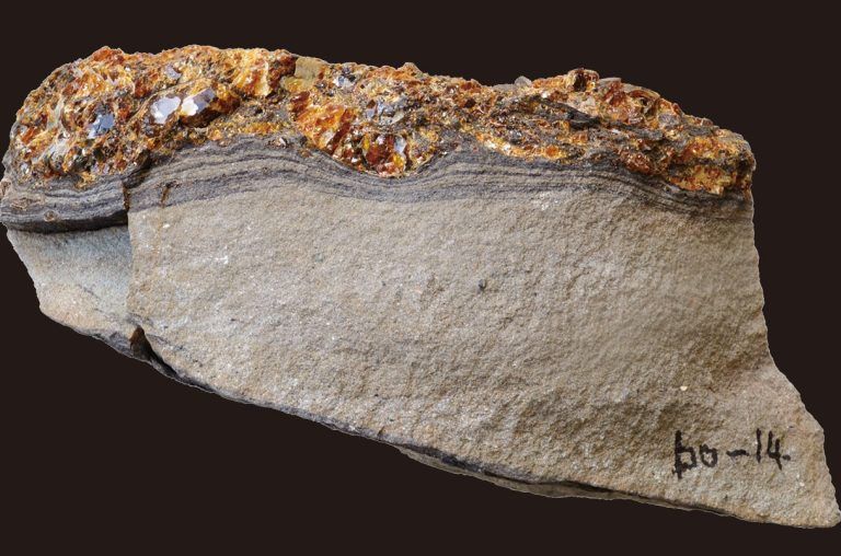 Ίχνη από τσουνάμι της εποχής των δεινοσαύρων διατηρήθηκαν σε κεχριμπάρι