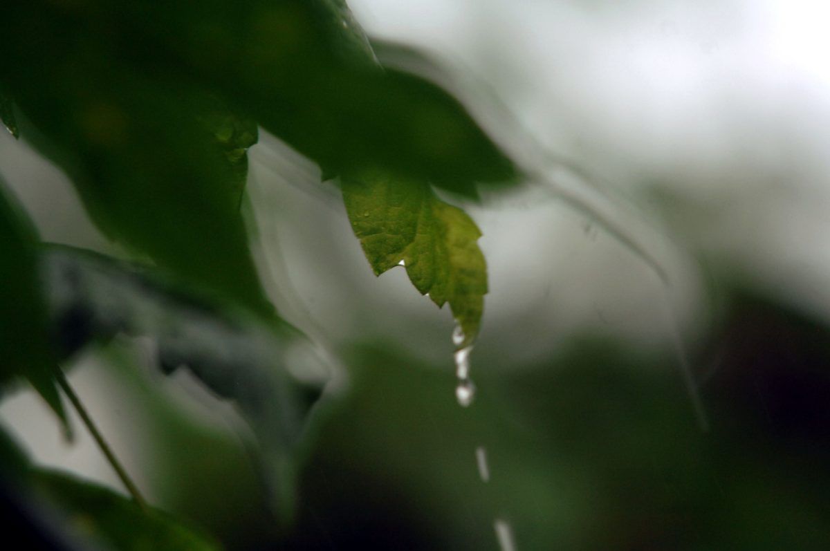 Καιρός: Τοπικές βροχές και καταιγίδες σε πολλές περιοχές – Πότε αναμένονται στην Αττική