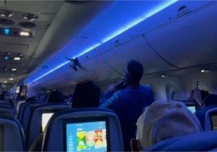ΗΠΑ: Απίστευτο σκηνικό σε πτήση – Περιστέρι «επιβιβάστηκε» σε αεροπλάνο και προκάλεσε χάος