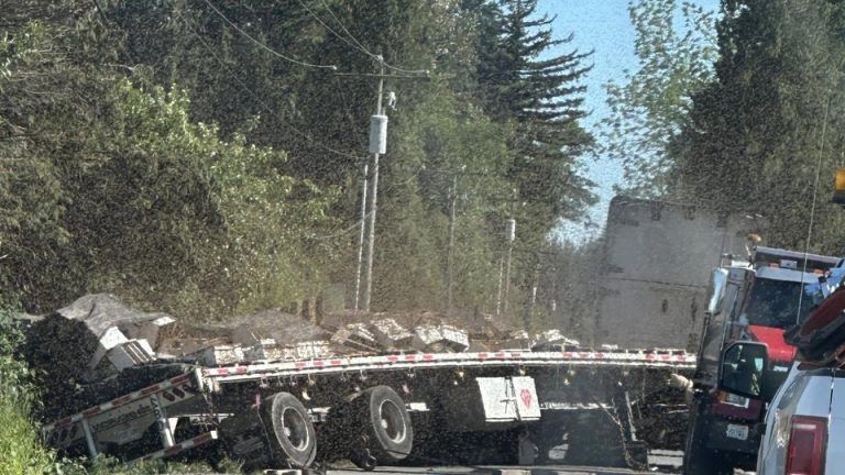 ΗΠΑ: Συναγερμός στην Ουάσινγκτον – Εκατομμύρια μέλισσες «απέδρασαν» μετά από ανατροπή φορτηγού