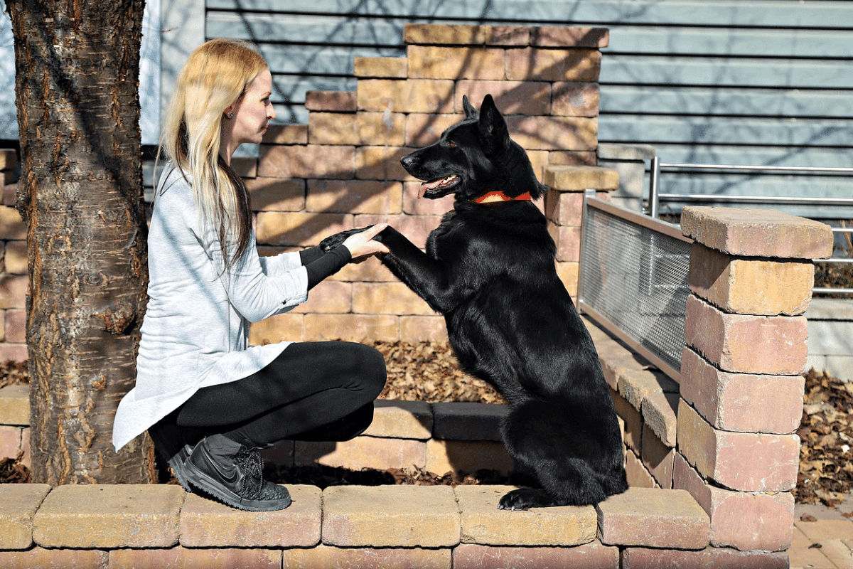 Σκοπός της ζωής του σκύλου δεν είναι να μας πάρει τον αέρα – Του κάνουμε τα χατίρια, αλλά…