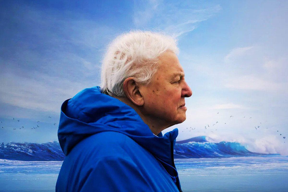 Σερ Ντέιβιντ Ατένμπορο: Στα 99 του κηρύσσει πόλεμο στη βιομηχανική αλιεία – «Οι ωκεανοί πρέπει να ζήσουν»