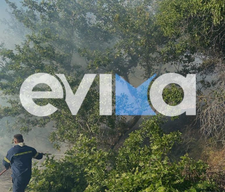 Μεγάλη φωτιά στην Εύβοια – Σηκώθηκαν εναέρια μέσα
