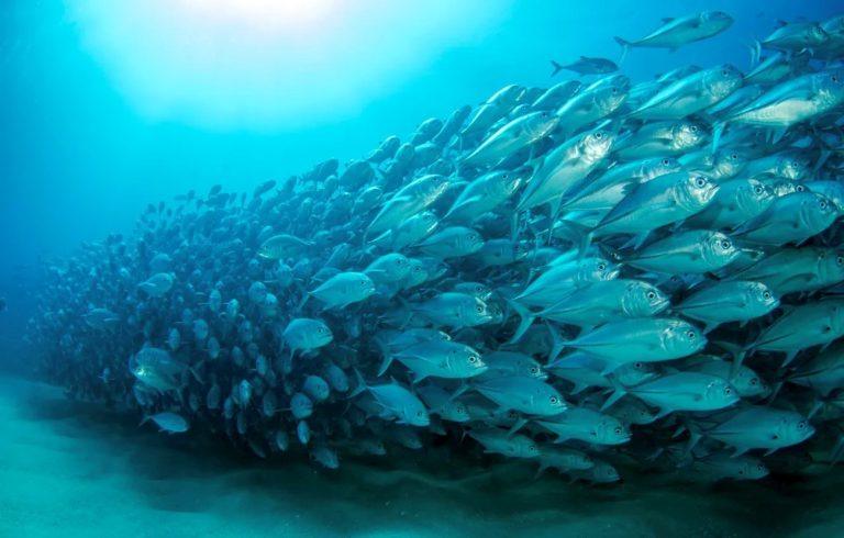 Η Ελλάδα επικύρωσε τη διεθνή Συνθήκη για την Ανοιχτή Θάλασσα