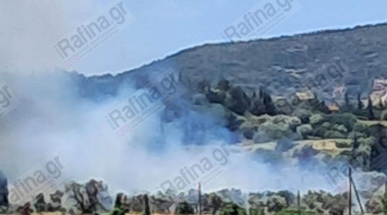Συναγερμός για φωτιά στα Σπάτα – Στο σημείο ισχυρές δυνάμεις της Πυροσβεστικής