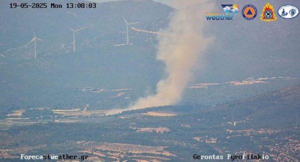 Μεγάλη φωτιά σε δασική έκταση στη Ριτσώνα