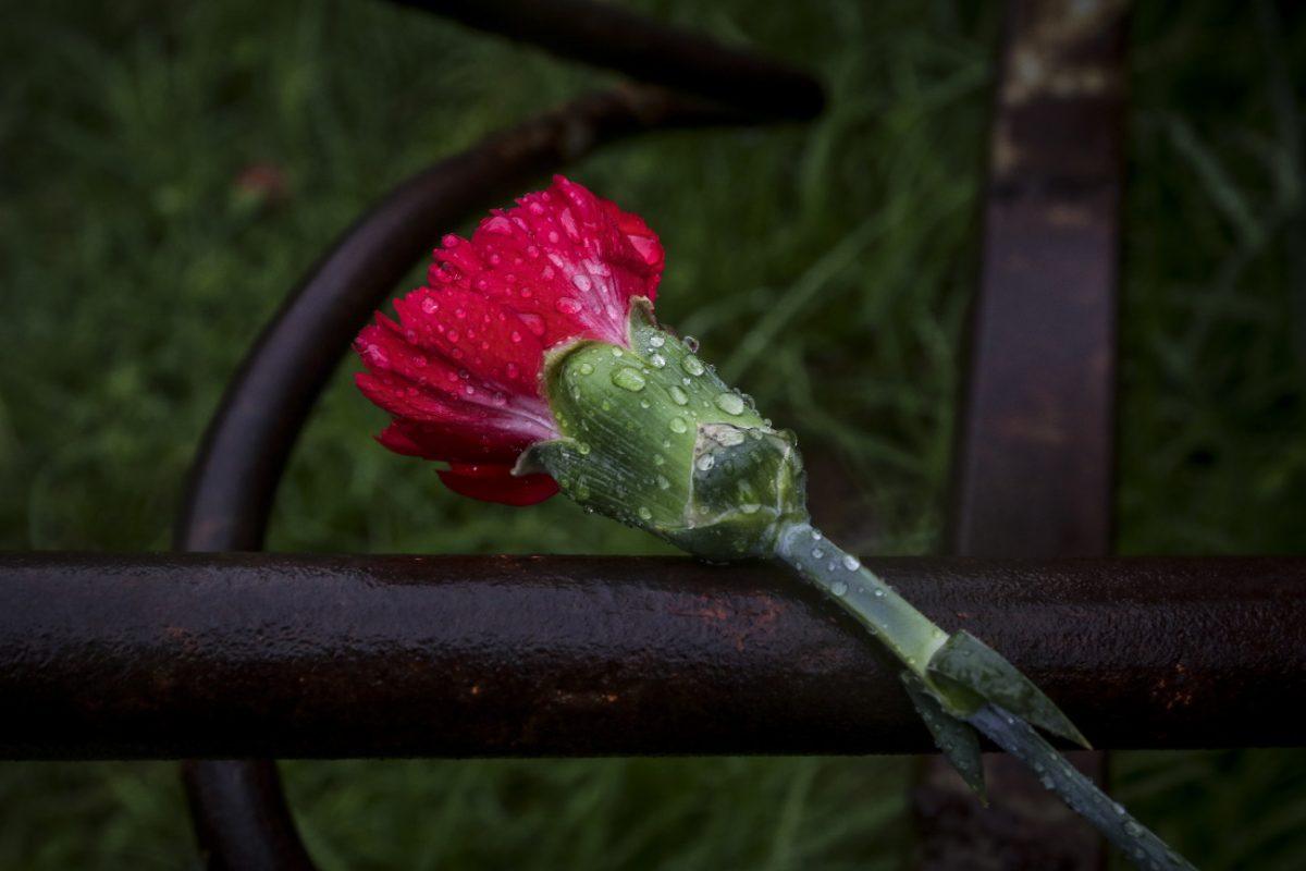 Κεντροαριστερά: H «κίνηση των 144» για την ενότητα του χώρου