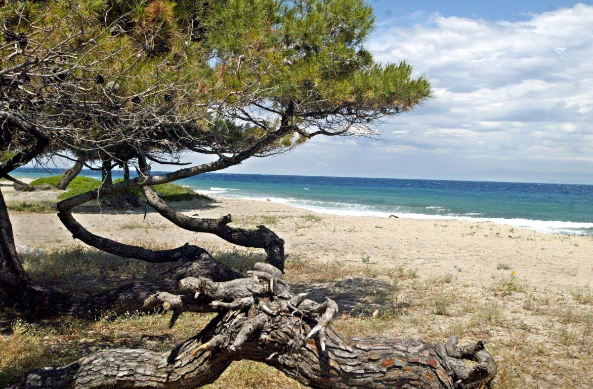 Time Out: Greek Lagoon Beach Best in Europe for 2025