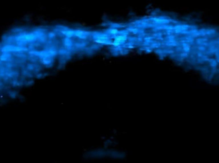 Εγκυμοσύνη: Εντυπωσιακά στιγμιότυπα από τον σχηματισμό καρδιάς – Το ταξίδι των καρδιακών κυττάρων