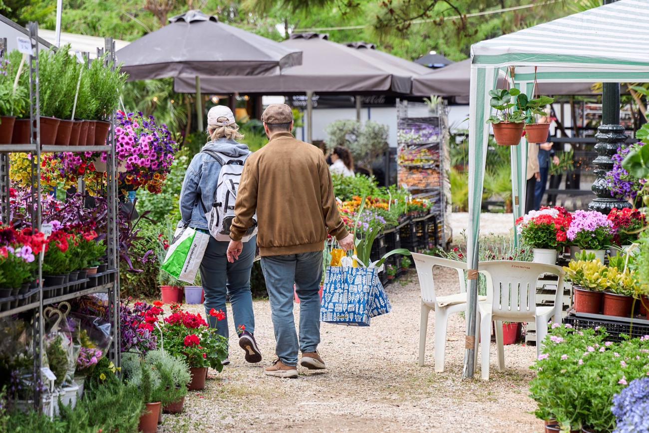 εικόνα που δείχνει δύο ανθρώπους να περιδιαβάζουν στην 71η Ανθοκομική Έκθεση στην Κηφισιά