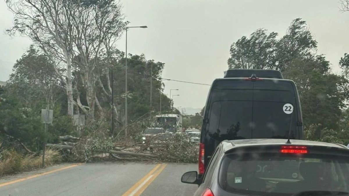 Κρήτη: Πτώσεις δέντρων, κλειστοί δρόμοι, προβλήματα σε αεροδρόμια λόγω σφοδρών ανέμων
