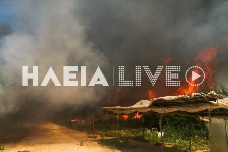 Μανωλάδα: Μεγάλη πυρκαγιά σε καταυλισμό εργατών γης – Ακούγονται εκρήξεις