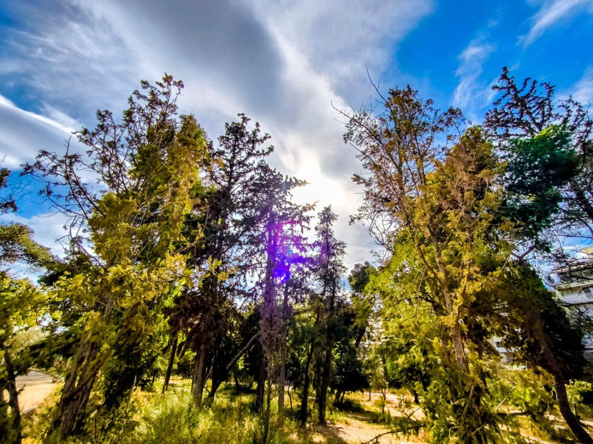 Καιρός: Μίνι καλοκαίρι με 28αρια το Σάββατο –