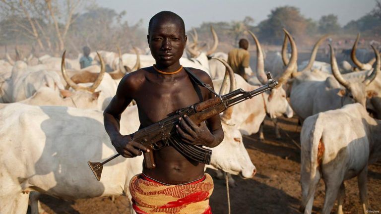 Νιγηρία: Τουλάχιστον 30 νεκροί σε επιθέσεις για την πρόσβαση στη γη και το νερό