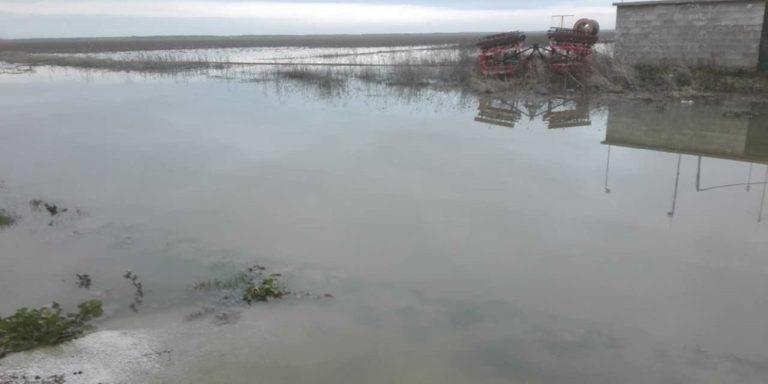 Καταβλήθηκαν οι αποζημιώσεις συκοπαραγωγών της βόρειας Εύβοιας που επλήγησαν από τα ακραία καιρικά φαινόμενα