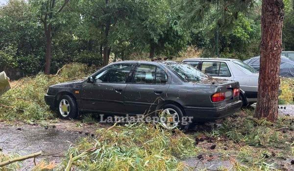 Λαμία: Πολλά προβλήματα από ισχυρό μπουρίνι – Διακοπές ρεύματος, πτώσεις δέντρων και δρόμοι «ποτάμια»