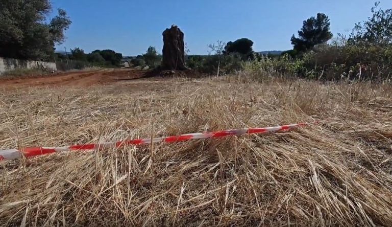 Ραφήνα: Δύο νέες προσαγωγές για την δολοφονία του 41χρονου – Πώς εντοπίστηκε ο 46χρονος που συνελήφθη το πρωί