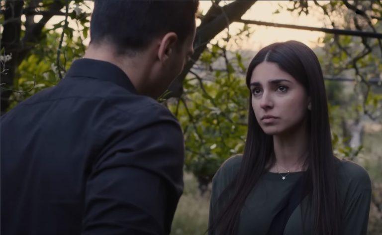 Η γη της ελιάς: Φόβοι και αποκαλύψεις