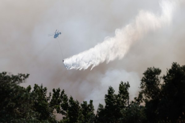 Φωτιά στη Λακωνία: Δύο συλλήψεις