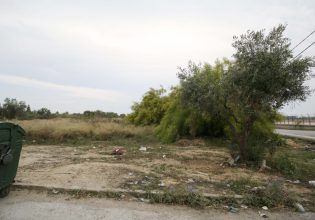 Μέχρι 15 Ιουνίου ο καθαρισμός οικοπέδων – Δεν εξετάζεται παράταση, λέει ο Σπανάκης