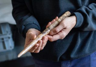 Προϊστορικά δόρατα από οστά φαλαινών βρέθηκαν στην Ευρώπη