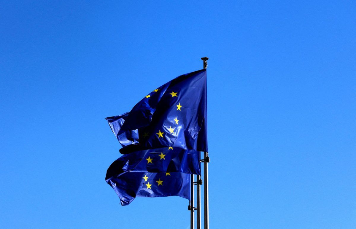 Γερμανία: Η Ευρωπαϊκή Επιτροπή ανέθετε σε ΜΚΟ δράσεις εναντίον εταιριών