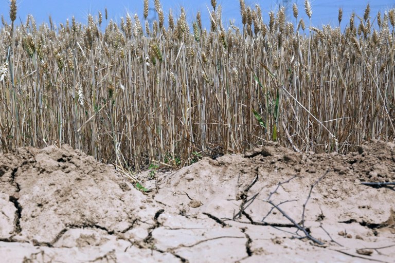 Καμπανάκι ΟΟΣΑ για την λειψυδρία στην Ελλάδα