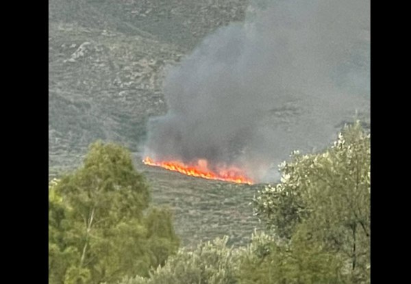 Φωτιά τώρα στην Σπάρτη – Επιχειρούν εναέρια μέσα