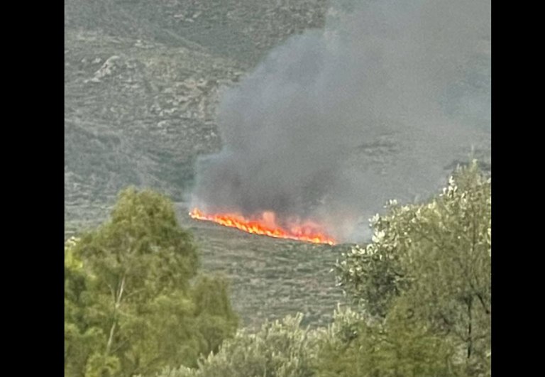 Φωτιά τώρα στην Σπάρτη – Επιχειρούν εναέρια μέσα