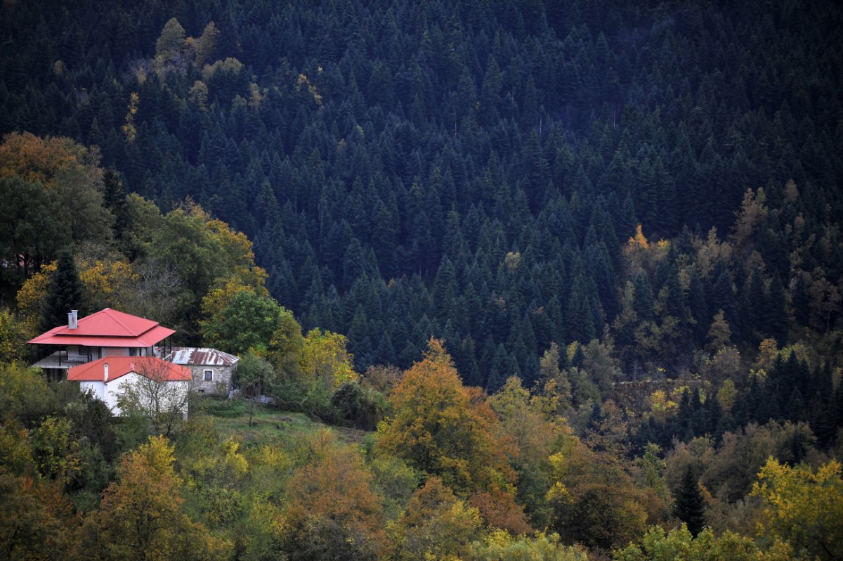 Πώς να διαχειριστείτε τον δασικό χαρακτηρισμό