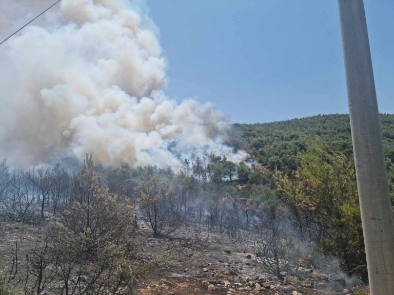 Σε ύφεση η φωτιά στο Άνω Σούλι Μαραθώνα – Παραμένουν ισχυρές πυροσβεστικές δυνάμεις στην περιοχή