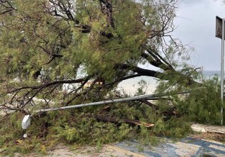 Μέγαρα: Ισχυρό μπουρίνι χτύπησε στην παραλία της Βαρέας – Ξεριζώθηκαν δέντρα, ζημιές σε αυτοκίνητα