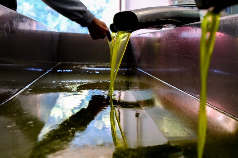 Ανάλυση Bloomberg για τις προκλήσεις του ελληνικού ελαιολάδου –  Το κλίμα, οι κλέφτες και τα «χαρμάνια»