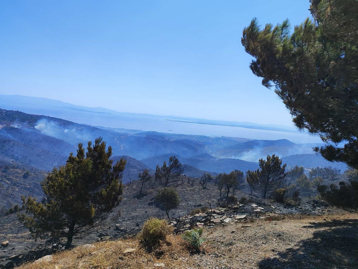 Κλιμάκιο του ΠΑΣΟΚ στις φωτιές στη Χίο – «Παρακολουθούμε διαρκώς τις εξελίξεις»
