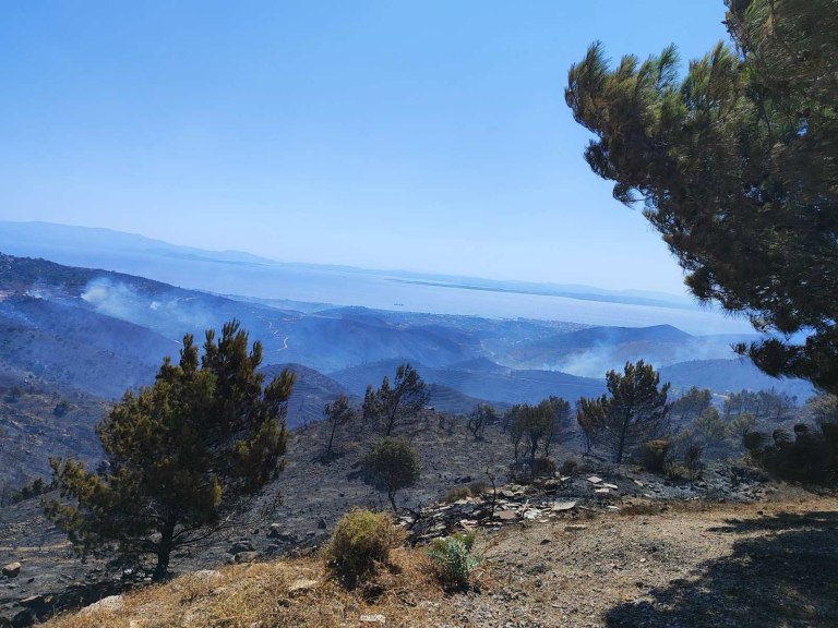 Κλιμάκιο του ΠΑΣΟΚ στις φωτιές στη Χίο – «Παρακολουθούμε διαρκώς τις εξελίξεις»