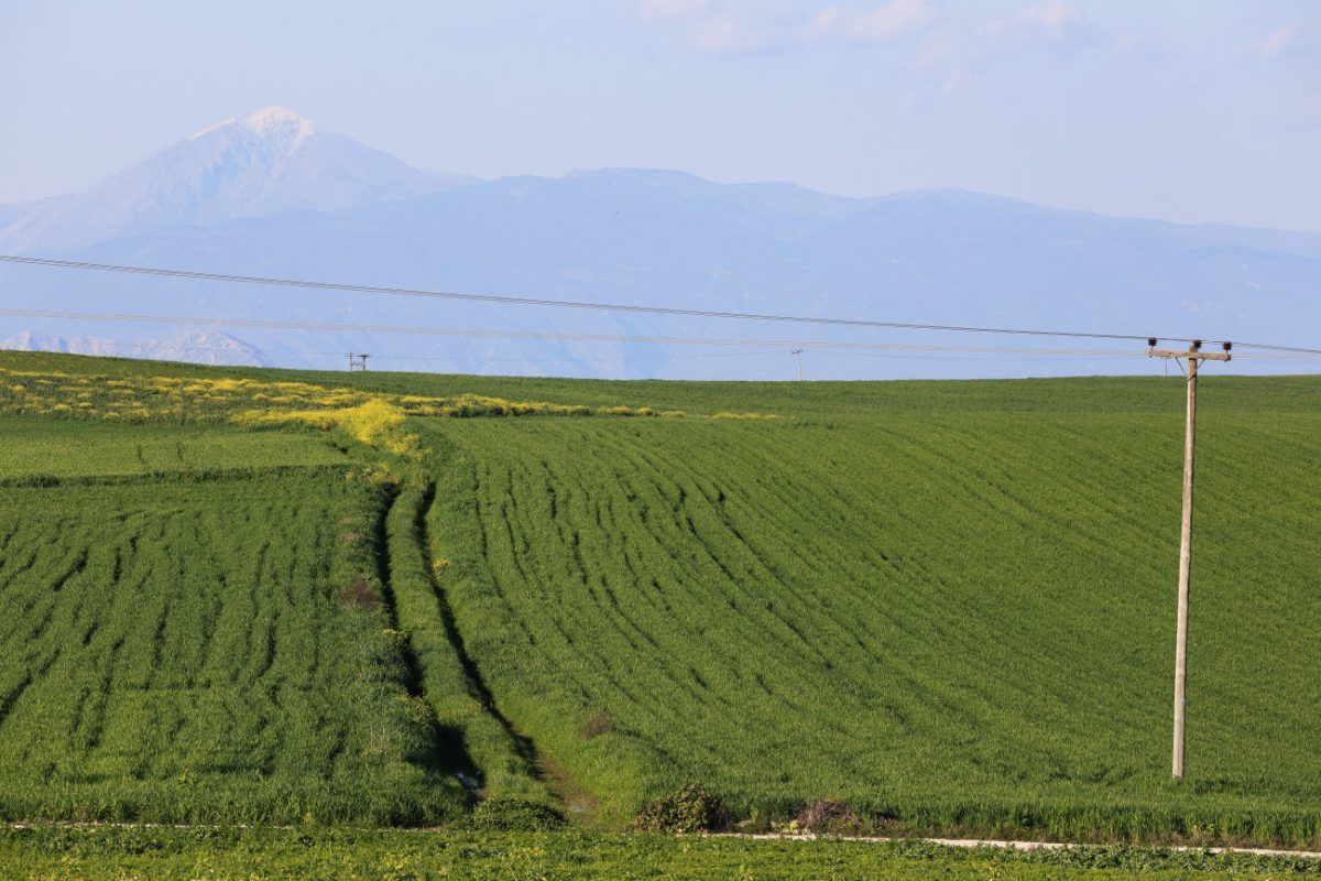 ΣΥΡΙΖΑ: «Γαλάζια βοσκοτόπια» του ΟΠΕΚΕΠΕ και στο αεροδρόμιο Αγρινίου με επιδοτήσεις άνω των 270.000 ευρώ