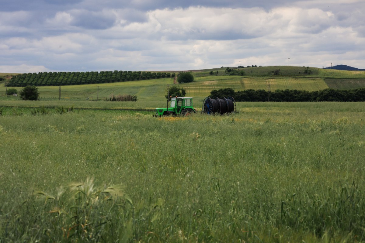 ΟΠΕΚΕΠΕ: Πώς παρεμπόδιζαν τις έρευνες της ΕΛ.ΑΣ.