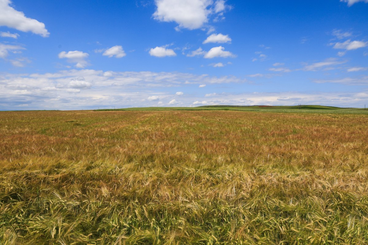 Αντιπολιτευτικά πυρά για το σκάνδαλο του ΟΠΕΚΕΠΕ – «Εγκράτεια» ζητεί η ΝΔ